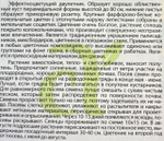 Колокольчик средний Белый Фарфор 0,1 г СМЦ-306