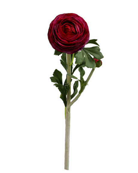 Ранункулюс Клуни крупный - Малиновое вино