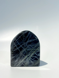 Срез Лабрадора M