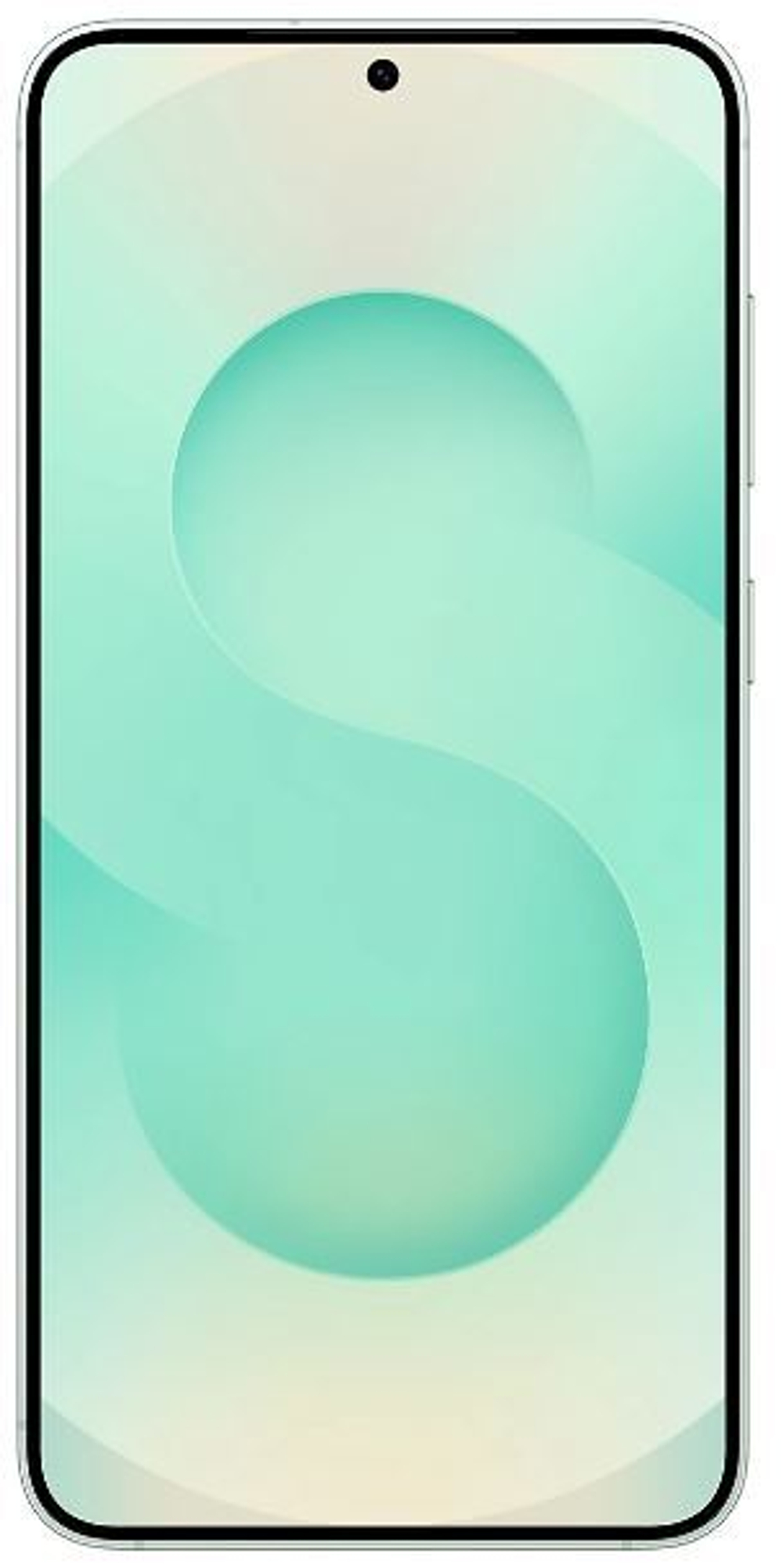 Смартфон  Samsung Galaxy S25+ 12/512GB