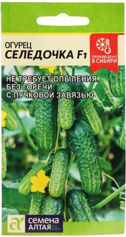 Огурец СЕЛЕДОЧКА цв.пак. 5 шт. Семена Алтая