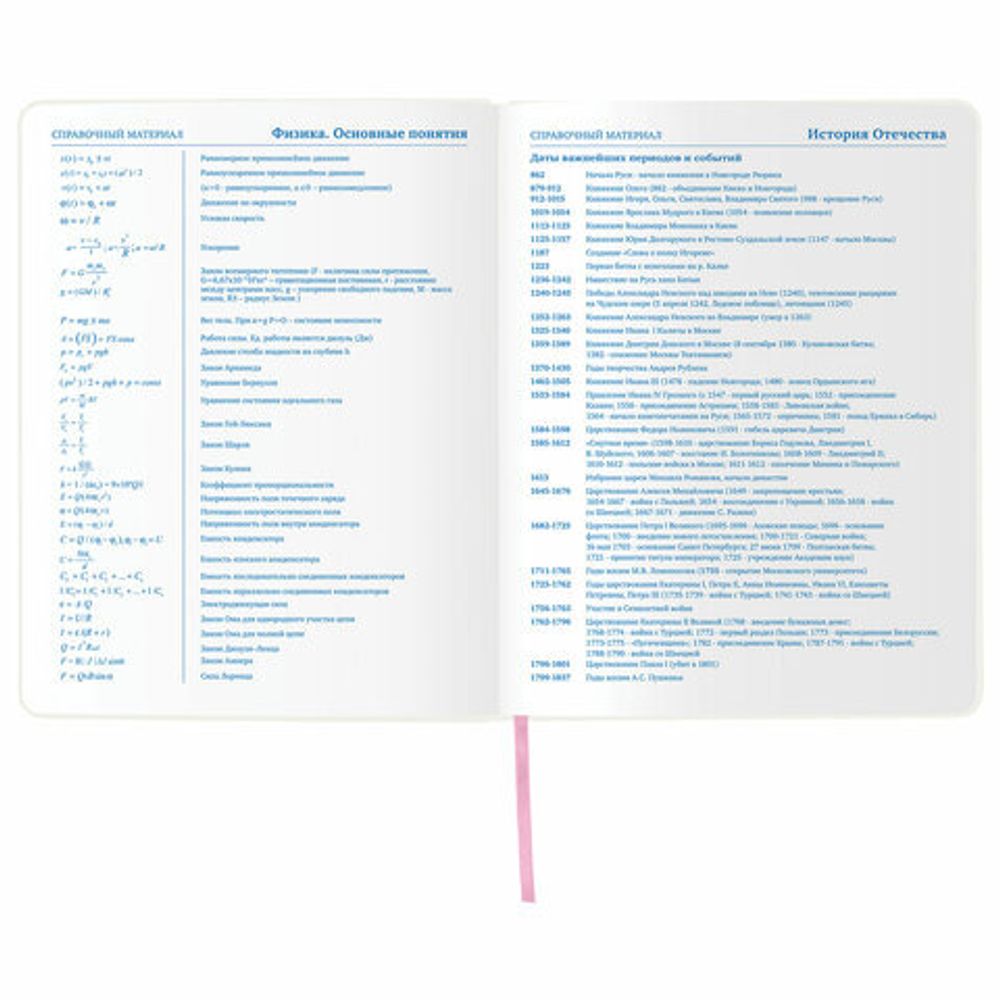 Дневник 1-11 класс 48 л., кожзам (гибкая), печать, фольга, BRAUBERG, "ПАСТЕЛЬНЫЙ", 105972