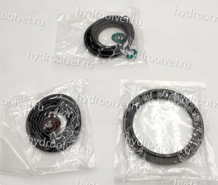 A4VSO250 SEAL KIT - Комплект уплотнений (ремкомплект) для насоса Rexroth A4VSO250