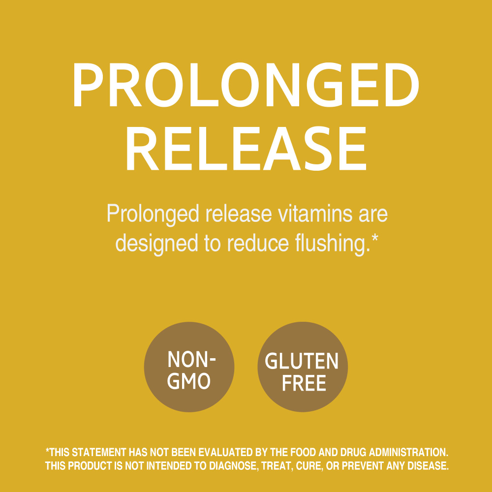 21st Century, Ниацин, замедленное высвобождение, 500 мг, 100 таблеток