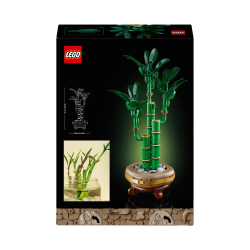 LEGO Icons/ Dracaena sandera/ 10344