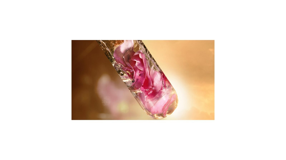 Lancome Absolue - нежный регенерирующий крем с экстрактом розы /   30  ml  / GTIN 3614272325265