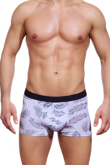 Мужские трусы 2310-1