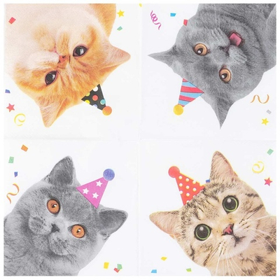 Салфетки «Котики» фотографичные, 25 см / 33 см, 12 шт