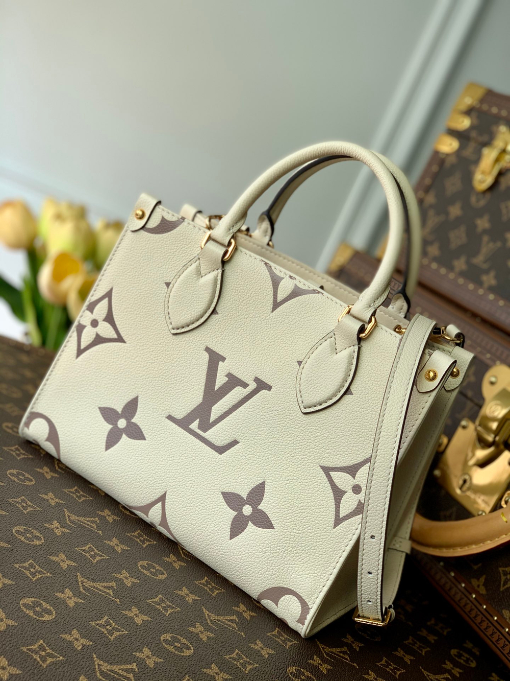 Louis Vuitton OnTheGo PM