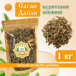 Саган-Дайля.