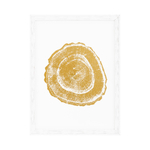 Постер Prints Gold Foil: Tree Rings set of 4 арт.110875