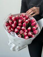 Букет из 35-ти красно-белых тюльпанов