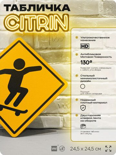 Табличка "Скейтер" шуточная прикольная табличка на дверь и стену, для офиса и дома, декоративный знак, 24,5х24,5 см, пластиковая, Айдентика Технолоджи