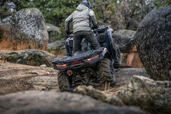 Квадроцикл Kawasaki Brute Force 750 EPS (2024) (ПСМ)