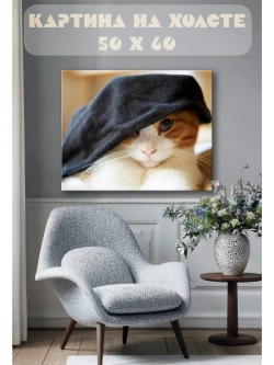 Картина на стену 40 X 50 Рыжий кот