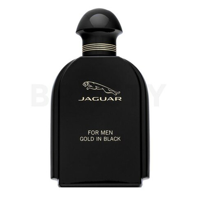 Jaguar For Men Gold in Black EDT M 100 ml