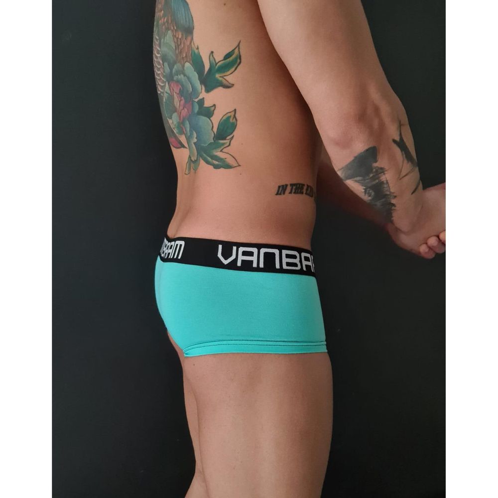 Мужские трусы хипсы бирюзовые Van Baam 48125