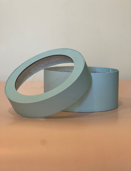 Короткая коробка с прозрачной крышкой 32см х 15 см  Цвет; Светло изумрудный . Розница 700 рублей