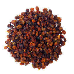 Облепиха Алтайская "Лесная"