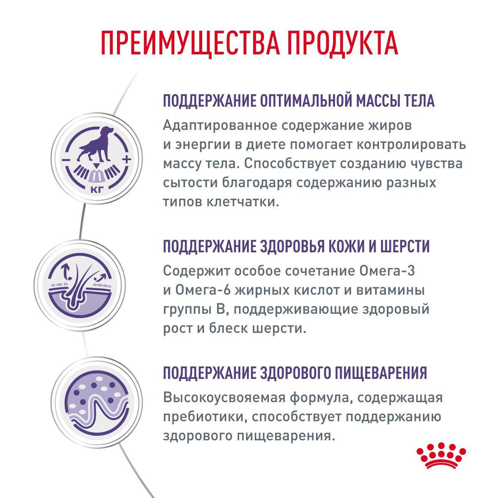 Royal Canin Neutered Adult Medium Dogs Корм сухой для взрослых стерилизованных кастрированных собак старше 12 месяцев 3,5 кг