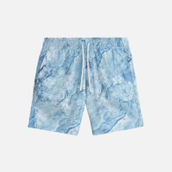 Шорты Ocean Floor Trunk
