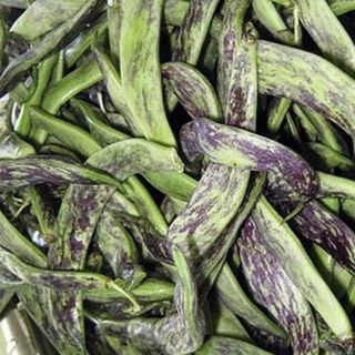 Фасоль Турчанка 100 грамм