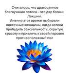 Голубой лотос, кубики восковые для ароматизации, 10 штук