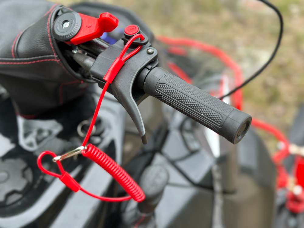 Снегоход IKUDZO HUNTER 500LK 19 V2