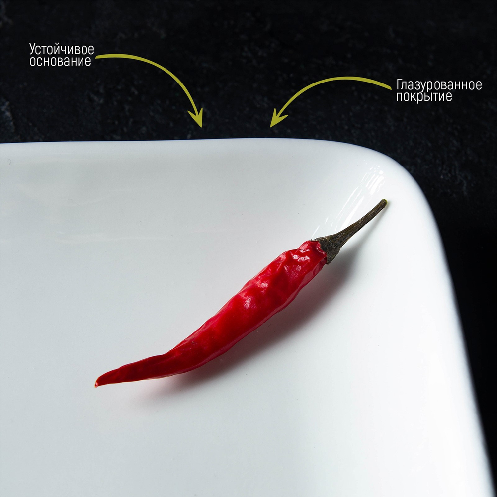 Блюдо фарфоровое прямоугольное White Label, 24,5×15,5 см, (белый)