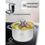 Кастрюля нерж, 3.9 л, с крыш, крыш стекло, Daniks, Сиена, SD-A93-20, индукц