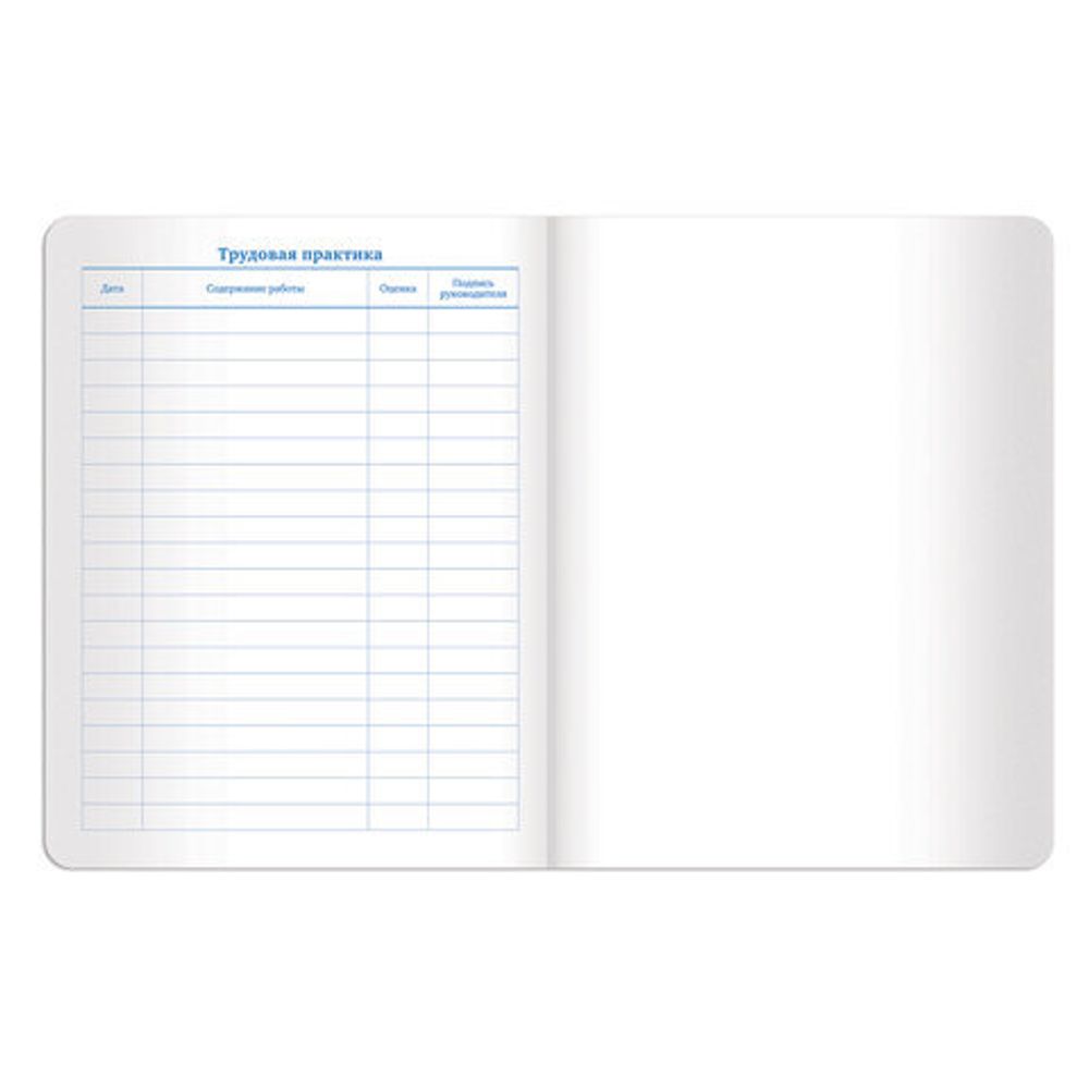 Дневник 1-11 класс 48 л., обложка кожзам (твердая), фольга, BRAUBERG "SPARKLE", серебристый, 105464