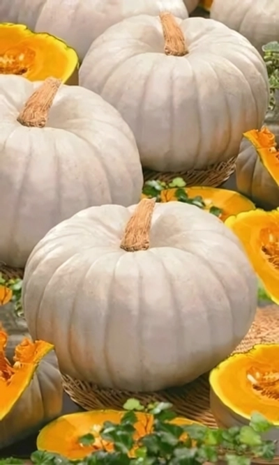 Семена Тыква Сладкая пышка - крупноплодная 6 шт (УД) Е/П