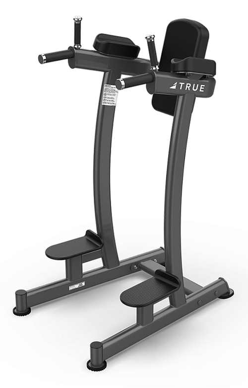 Поднятие коленей/брусья TRUE FITNESS (PARAMOUNT) XFW6400-19