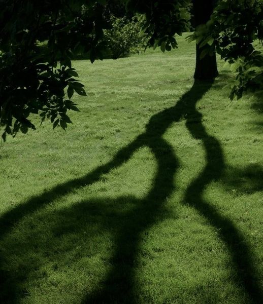 В разработке В разработке