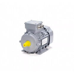Электродвигатель ESQ PR 90 L6-SDN-Б1-S12-IE3 1,1/1000 IMB3