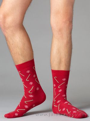 Мужские носки Style 505 Omsa for Men