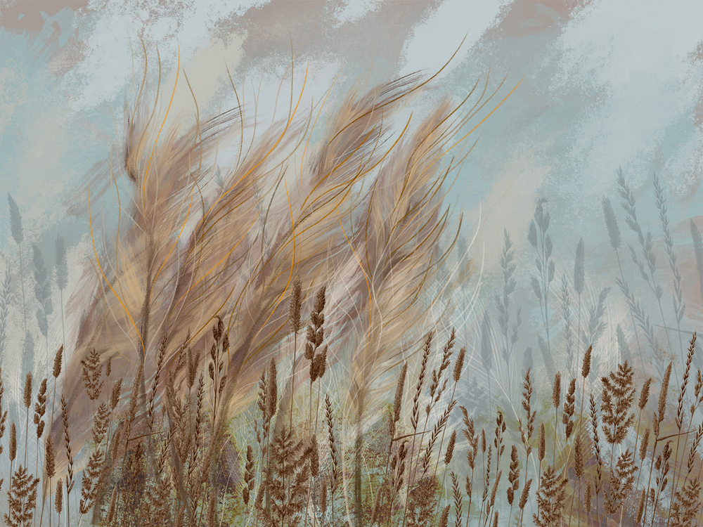 Коллекция ALTAY