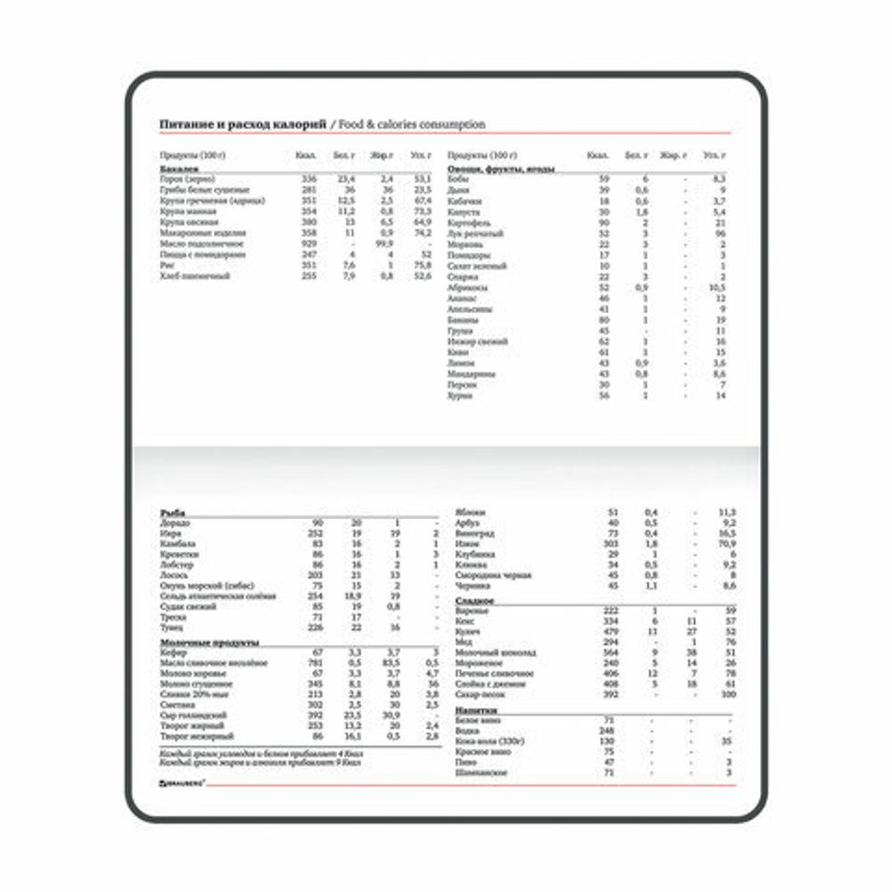 Еженедельник недатированный МАЛЫЙ ФОРМАТ 95х155 мм А6 BRAUBERG "Rainbow", под кожу, 64 л., бирюзовый, 114483