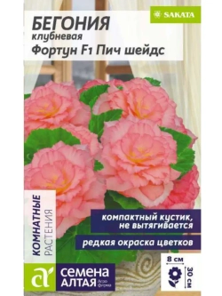 Семена цветов бегония Фортун F1 розовая -4 шт