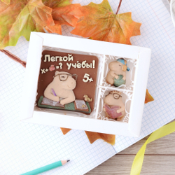 Набор "Легкой учебы" #2