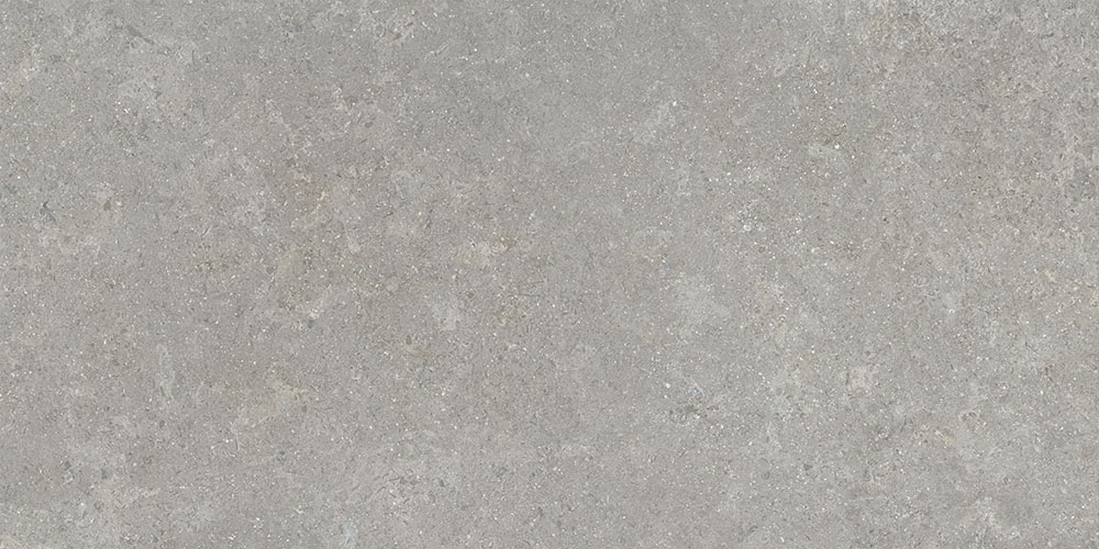 60х120 SandStone Серый Матовый R10A Ректификат