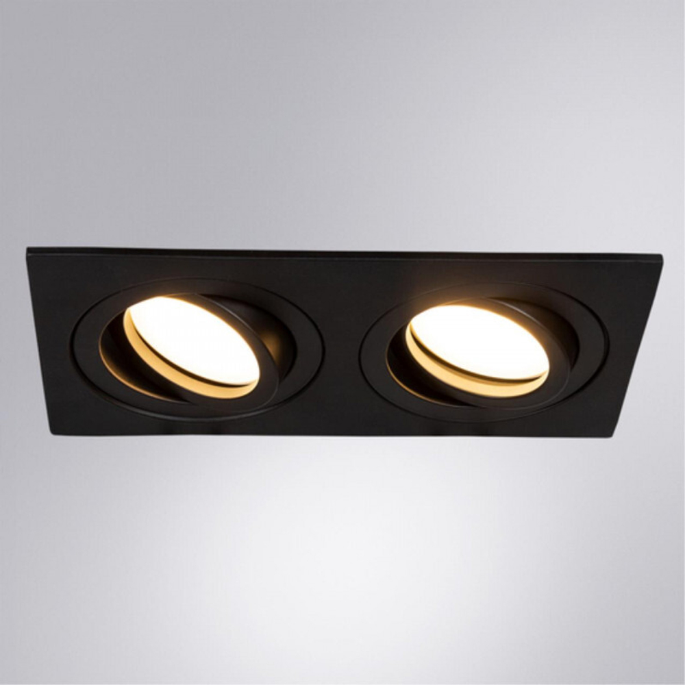 Встраиваемый светильник Arte Lamp A2168PL-2BK