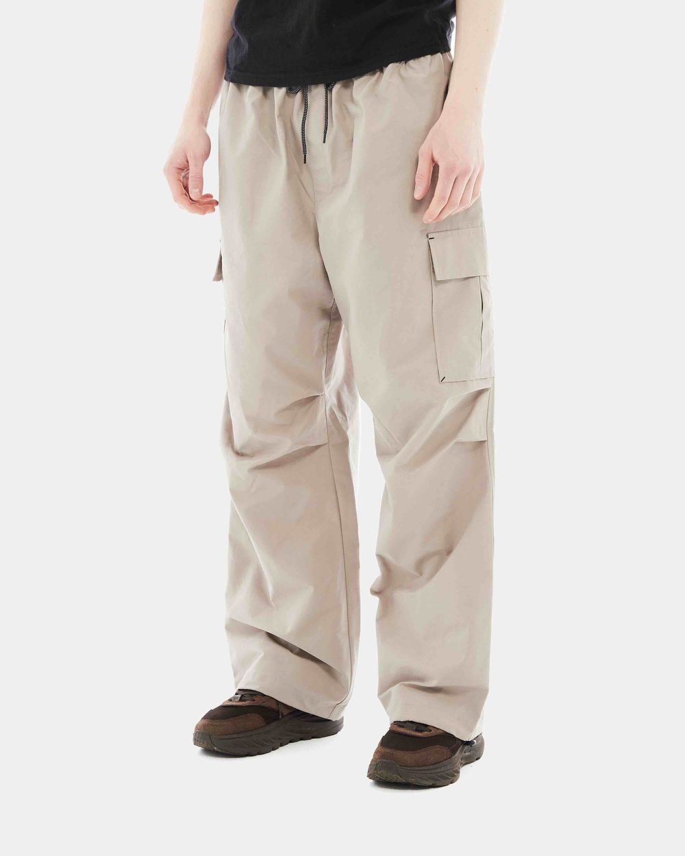 Брюки Anteater Parachute Cargo Cement