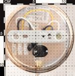 Citilux Синди CL330312 Бра хрустальное с выключателем Золото