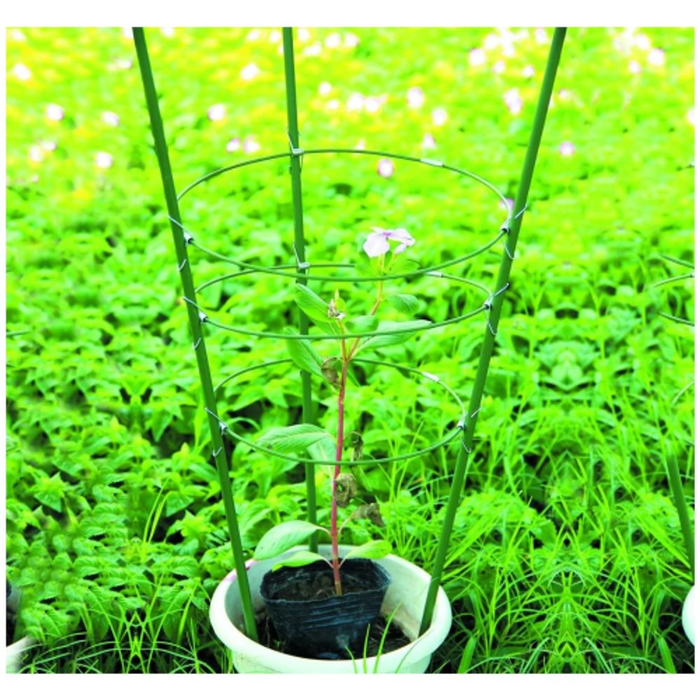 GFS-3-60 GREEN APPLE Поддержка для цветов 3 кольца 60см | GREEN APPLE