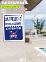 Табличка для бассейна "Запрещено проносить стекло", на пляж, для общественной и частной зоны отдыха, информационная, 40х30 см, Silver Plane x Айдентика Технолоджи