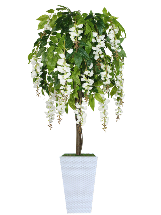 Искусственное дерево Акация белая 180см в высоком белом кашпо ротанг