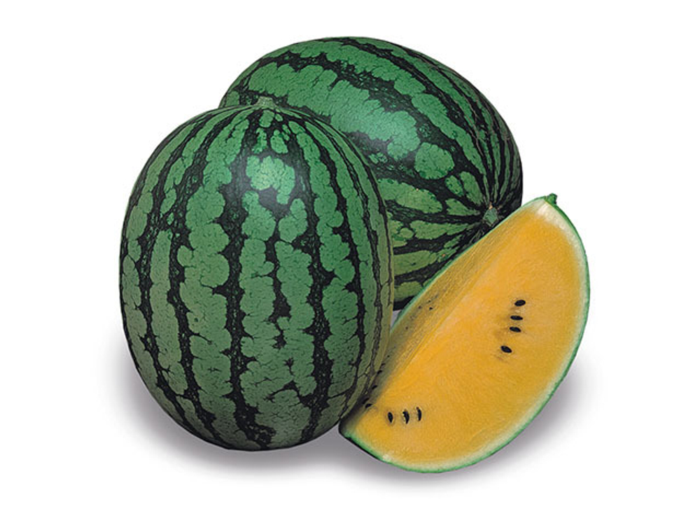 Арбуз Шампань F1 5шт ВитаГрин ЭКСТРА