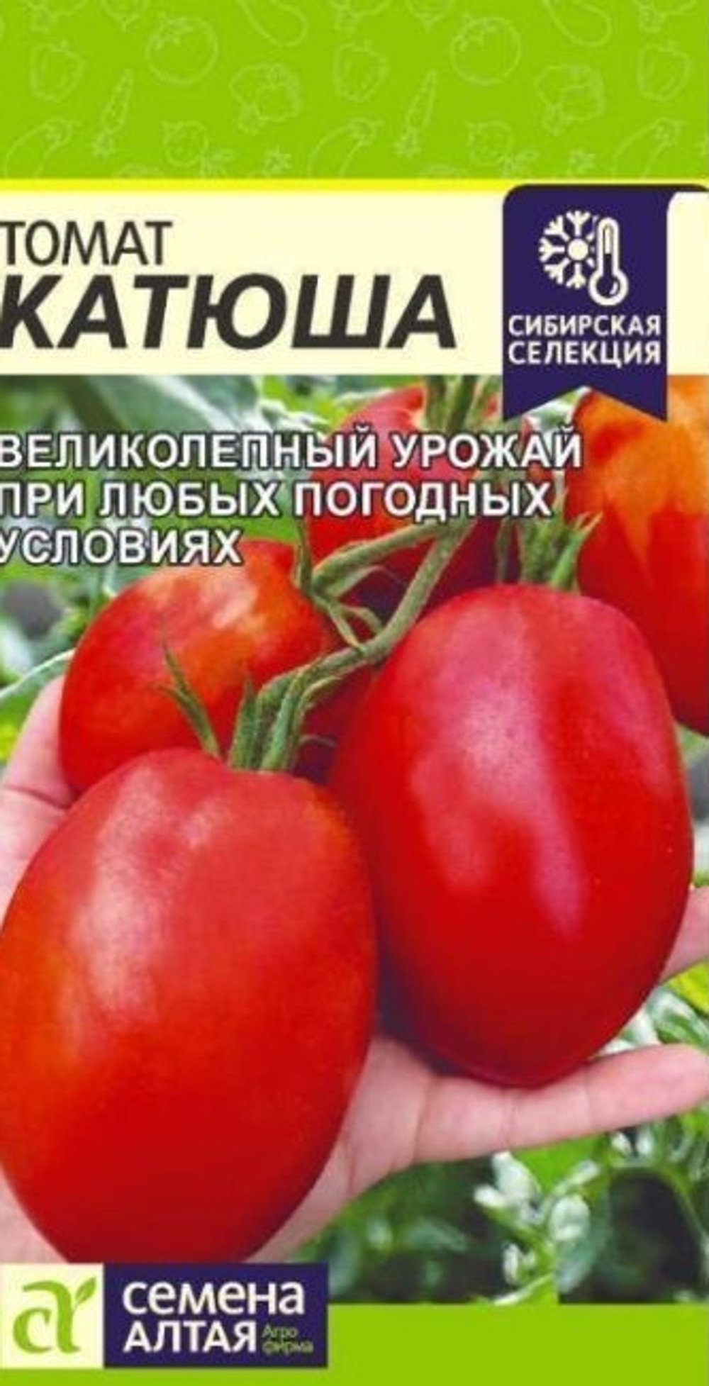 Томат Катюша