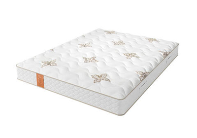 Матраc Eco Soft (С)